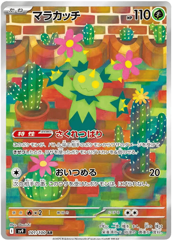 Maractus